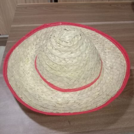 Palm Leaf Hat